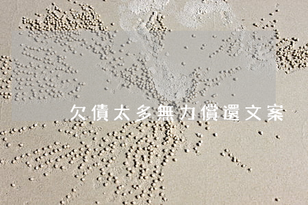 欠債太多無力償還文案