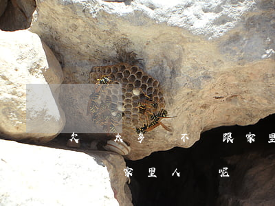 欠債太多該不該跟家里人說-欠債太多該不該跟家里人說呢