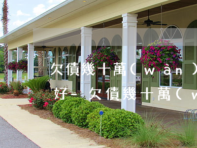 欠債幾十萬(wàn)還不起了怎么處理最好-欠債幾十萬(wàn)還不起了怎么處理最好呢