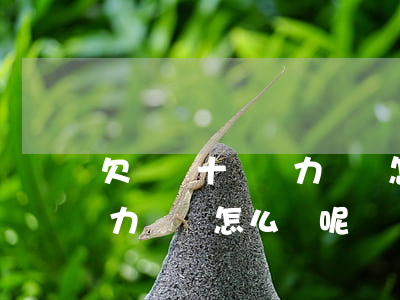 欠債幾十萬無力償還怎么辦-欠債幾十萬無力償還怎么辦呢