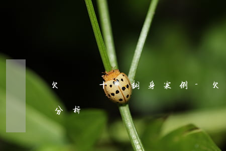 欠債幾十萬翻身案例-欠債幾十萬翻身案例分析