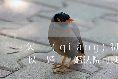 欠債強(qiáng)制執(zhí)行可以離婚嗎(離婚法院可以強(qiáng)制執(zhí)行嗎)