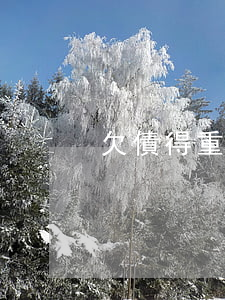 欠債得重病無力償還(欠債得重病無力償還)