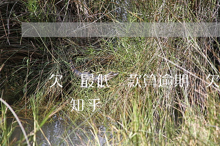 欠債最低還款算逾期嗎(欠債最低還款算逾期嗎知乎)