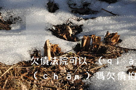 欠債法院可以強(qiáng)制拍賣房產(chǎn)嗎(欠債拍賣房產(chǎn)新規(guī)定)