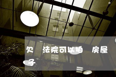 欠債法院可以拍賣房屋嗎(債務糾紛會拍賣房子嗎)