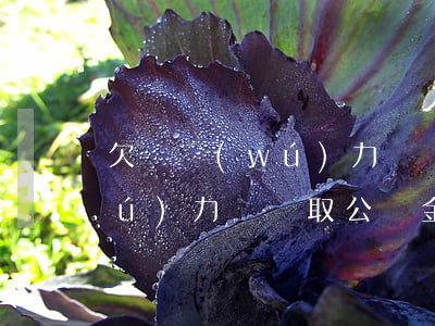 欠債無(wú)力償還取公積金(欠債無(wú)力償還取公積金可以嗎)