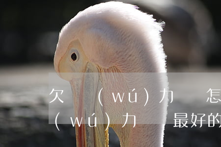 欠債無(wú)力償還怎么還-欠債目前無(wú)力償還最好的辦法有嗎