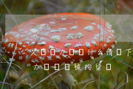 欠債無力償還什么情況下會被拘留-欠債無力償還會被拘留嗎