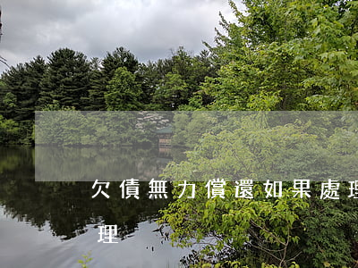 欠債無力償還如果處理(欠債無力償還如果處理)