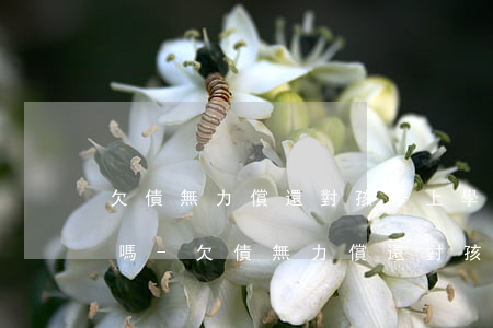 欠債無力償還對孩子上學(xué)有影響嗎-欠債無力償還 對孩子會有什么影響