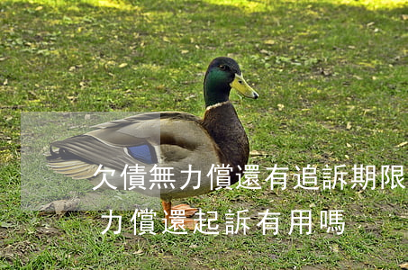 欠債無力償還有追訴期限嗎-如果欠債人無力償還起訴有用嗎