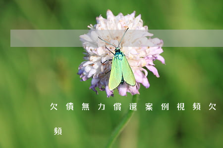 欠債無力償還案例視頻(欠債無力償還案例視頻)