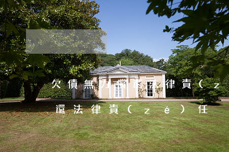欠債無力償還法律責(zé)任(欠債無力償還法律責(zé)任)