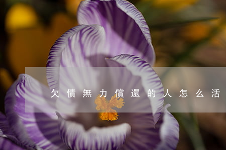 欠債無力償還的人怎么活