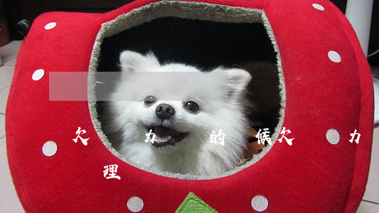 欠債無力償還的時候(欠債無力償還法院怎么處理)