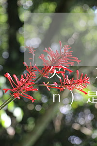 欠債無力償還的標(biāo)準(zhǔn)是多少（欠債無力償還的標(biāo)準(zhǔn)）