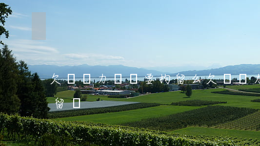 欠債無力償還要拘留么(欠帳無力償還會被拘留嗎)