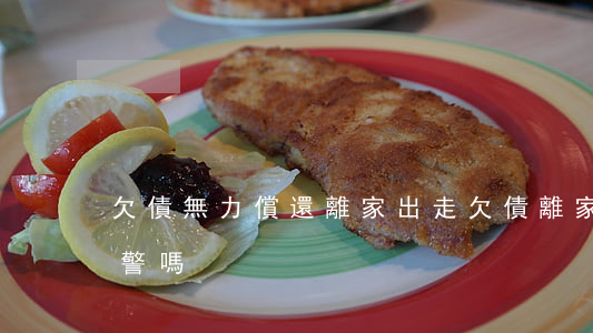 欠債無力償還離家出走(欠債離家出走可以報警嗎)