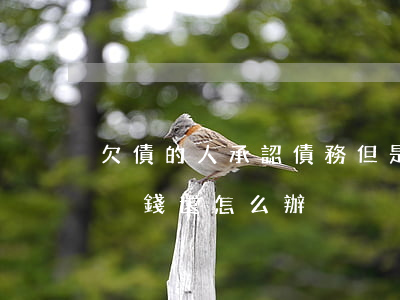 欠債的人承認債務但是無力償還-承認欠款沒錢還怎么辦