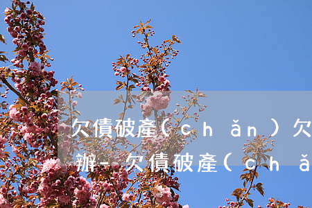 欠債破產(chǎn)欠信用卡還不了怎么辦-欠債破產(chǎn)欠信用卡還不了怎么辦呢