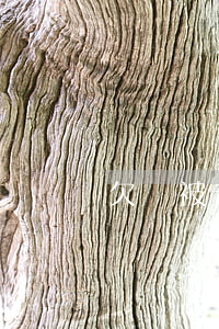 欠債被起訴 沒(méi)能力償還怎么辦(欠債沒(méi)能力還法院怎么處理)