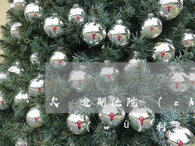 欠債逾期法院執(zhí)行(法院逾期履行債務(wù)利息)