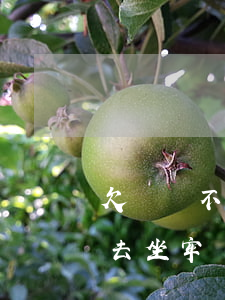 欠債還不上怎么辦-欠債還不上怎么辦可以去坐牢嗎?