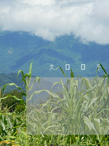 欠債還不了怎么辦-欠債還不了怎么辦呢