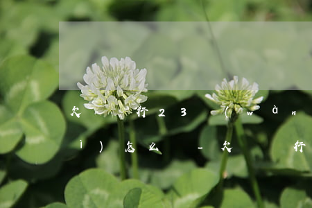 欠債銀行23萬(wàn)逾期了會(huì)怎么樣-欠債銀行23萬(wàn)逾期了會(huì)怎么樣呢