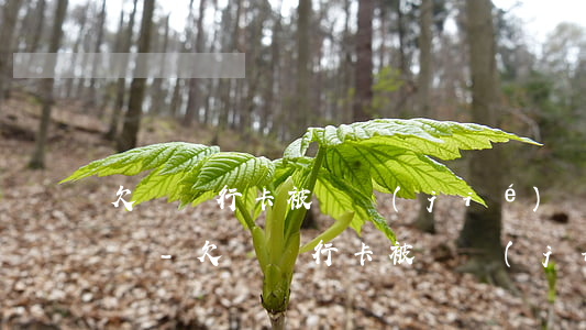 欠債銀行卡被凍結(jié)無力償還怎么辦-欠債銀行卡被凍結(jié)無力償還怎么辦呢