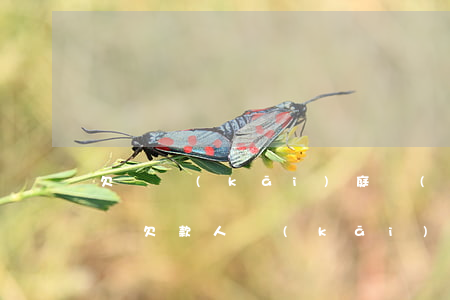 欠債開(kāi)庭無(wú)力償還怎么辦(欠款人開(kāi)庭不來(lái)怎么辦)