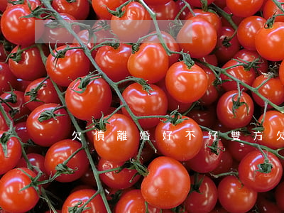 欠債離婚好不好(雙方欠債能離婚嗎)