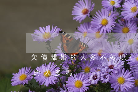 欠債離婚的人多不多(現(xiàn)在欠債的人多嗎)