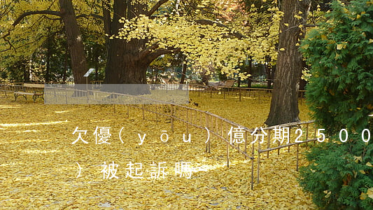 欠優(yōu)億分期2500會(huì)被起訴嗎-
