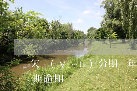 欠優(yōu)分期一年多(優(yōu)分期逾期)