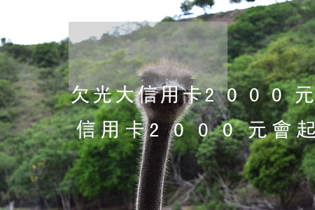 欠光大信用卡2000元會起訴嗎-欠光大信用卡2000元會起訴嗎知乎