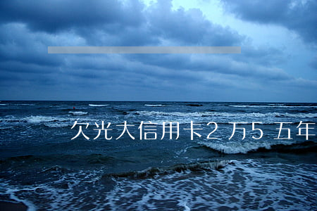 欠光大信用卡2万5五年没还了-