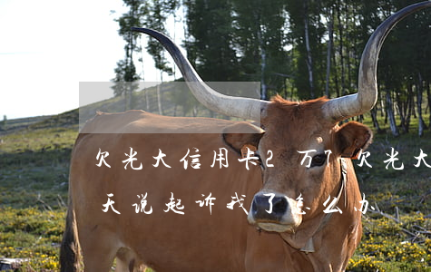 欠光大信用卡2万7(欠光大信用卡2万5今天说起诉我了怎么办)