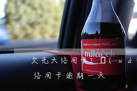 欠光大信用卡2萬(wàn)逾期一年(光大信用卡 逾期一天)