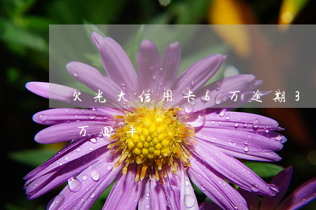 欠光大信用卡6万逾期3年(欠光大信用卡一万四年)