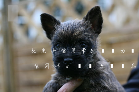 欠光大信用卡8萬無力償還怎么辦-欠光大信用卡8萬無力償還怎么辦呢