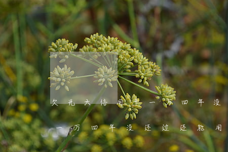 欠光大信用卡一万四年没还过(欠光大信用卡一万四年没还过还能用吗)