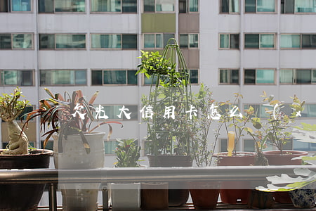 欠光大信用卡怎么協(xié)商