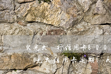 欠光大銀行信用卡8000沒還真的會起訴嗎（光大信用卡逾期1天就說要起訴我）