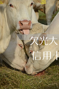 欠光大銀行信用卡一萬,被起訴會怎么樣（光大信用卡欠一萬5欠）