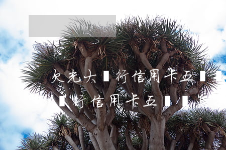 欠光大銀行信用卡五萬會怎么處理-欠光大銀行信用卡五萬會怎么處理呢