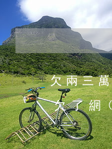 欠兩三萬網(wǎng)貸怎么能盡快還完(欠了網(wǎng)貸兩三萬還不起怎么辦)