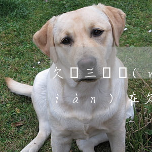 欠兩三萬網(wǎng)貸怎么辦(我現(xiàn)在欠三萬的網(wǎng)貸怎么辦)