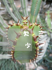 欠兩三萬需要找律師嗎(一萬元欠款找律師多少)